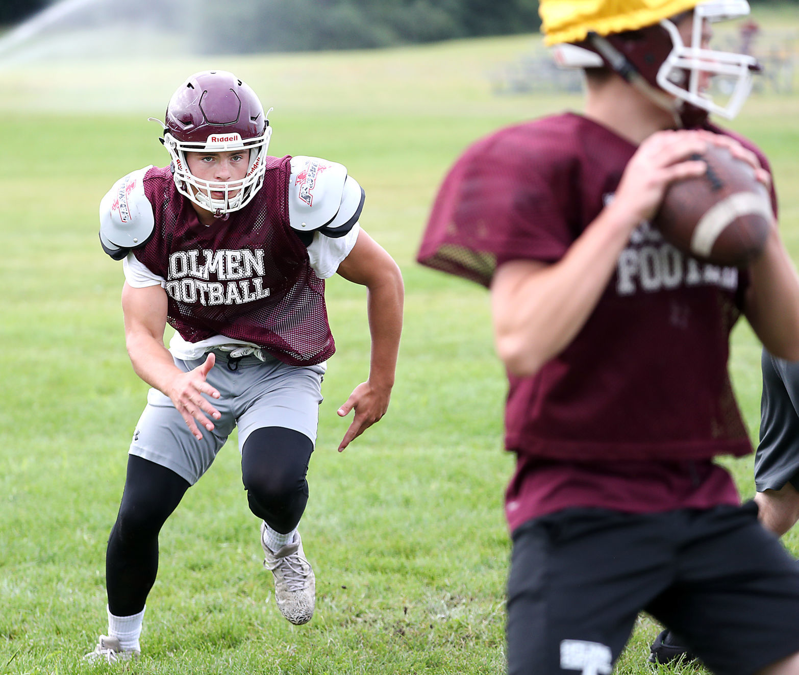 Holmen's Tate Grass
